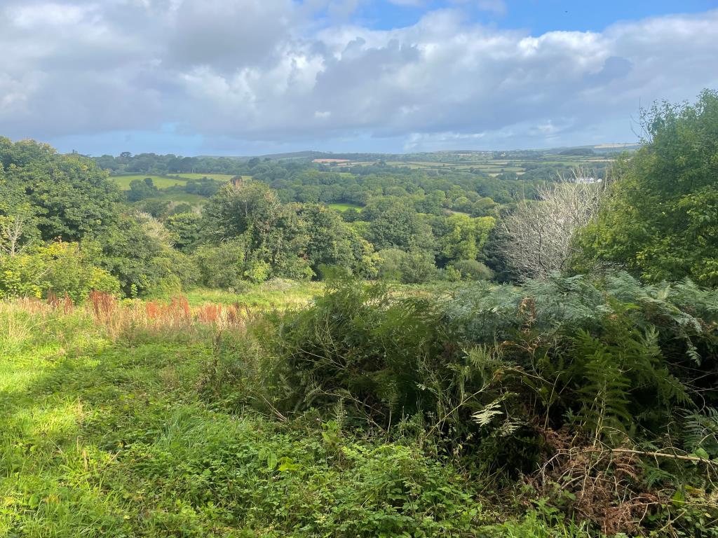 Lot: 139 - FREEHOLD LAND - Further view of land from alternative angle